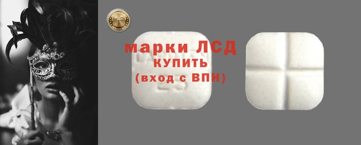 PSILOCYBIN Армянск