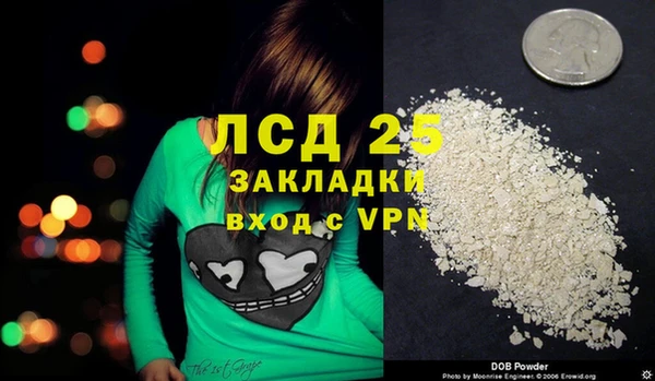 PSILOCYBIN Армянск