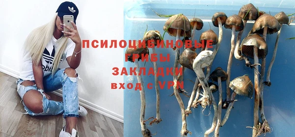 прущая мука Аркадак