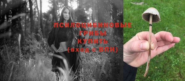 гидропоника Арсеньев
