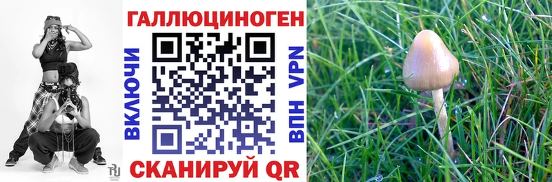 Псилоцибиновые грибы Cubensis  Купить  Дмитровск 
